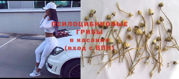 соль ск Арсеньев