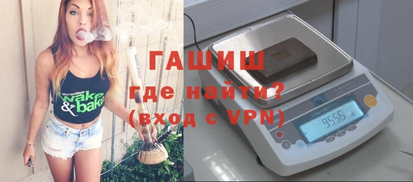 индика Нея