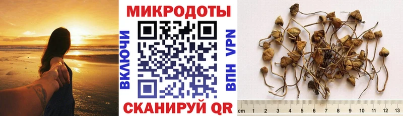 Галлюциногенные грибы ЛСД  Купить где  Асино 
